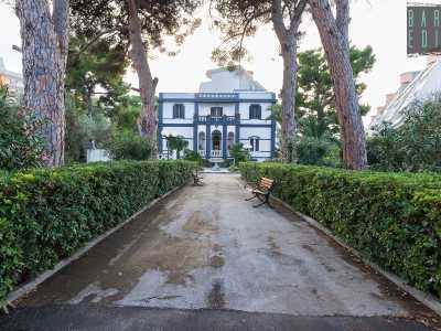 Varchiamo l�ingresso e imbocchiamo un curato viale alberato che ospita due piccole panchine e alti arbusti che fanno da cornice alla dimora da poco ristrutturata, che trova spazio alla fine del sentiero